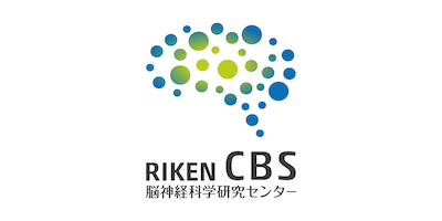 IBRO/RIKEN Summer Program